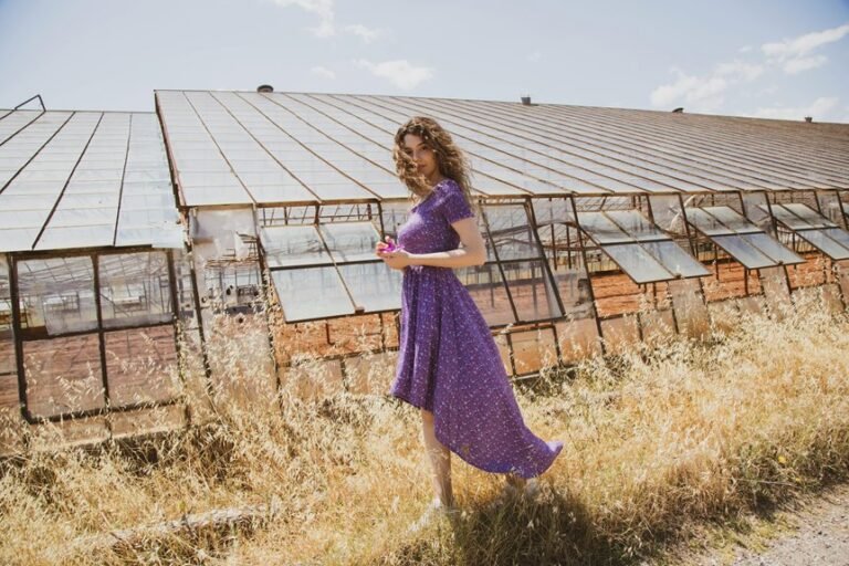 industry code overview snapshot